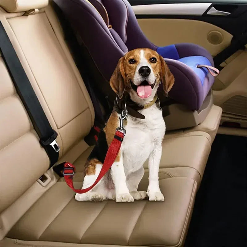 Adjustable Pet Car Seatbelt Harness