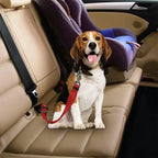 Adjustable Pet Car Seatbelt Harness