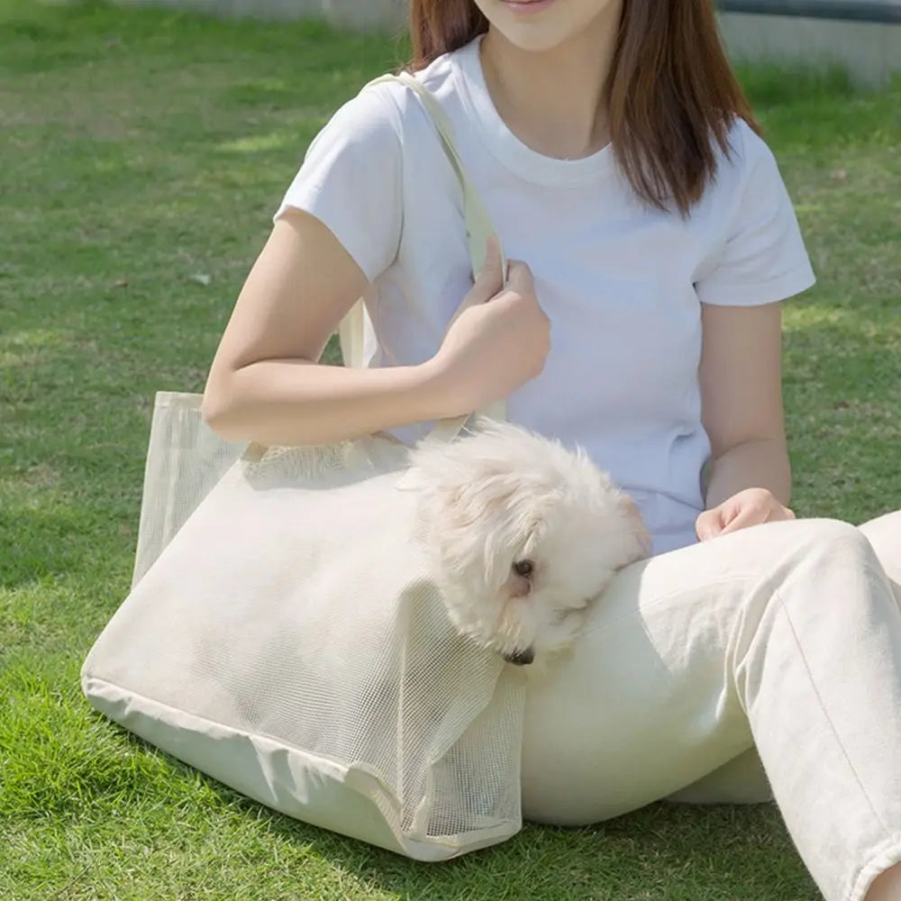 Collapsible Mesh Pet Carrier Bag