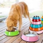 Stainless Steel Pet Feeding Bowl Set
