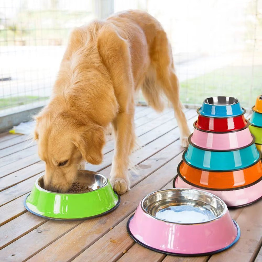 Stainless Steel Pet Feeding Bowl Set