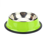 Stainless Steel Pet Feeding Bowl Set
