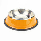 Stainless Steel Pet Feeding Bowl Set