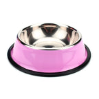 Stainless Steel Pet Feeding Bowl Set