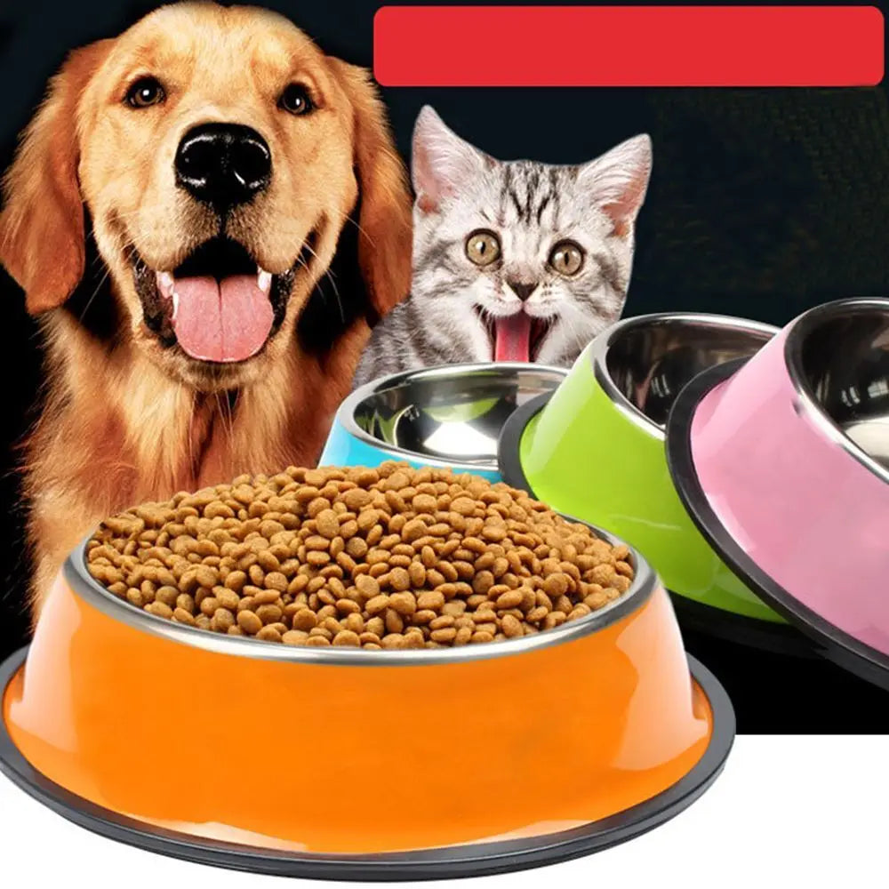Stainless Steel Pet Feeding Bowl Set