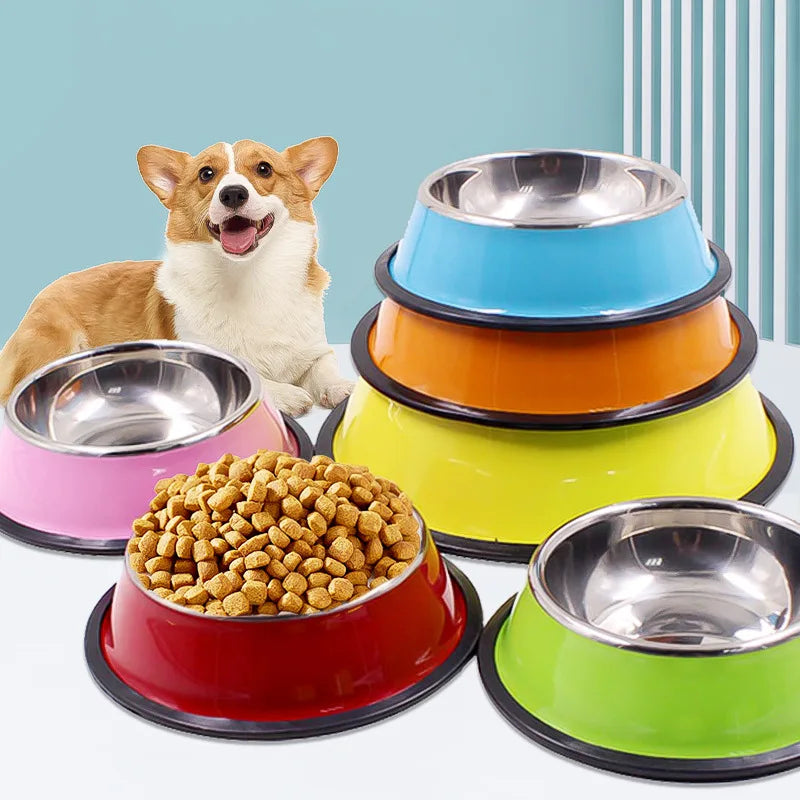 Stainless Steel Pet Feeding Bowl Set