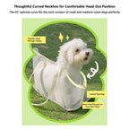Collapsible Mesh Pet Carrier Bag