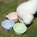 Collapsible Travel Pet Bowl for Dogs & Cats