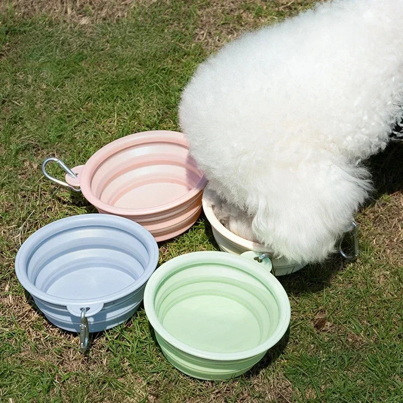 Collapsible Travel Pet Bowl for Dogs & Cats