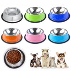 Stainless Steel Pet Feeding Bowl Set