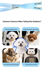 Collapsible Mesh Pet Carrier Bag
