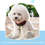Collapsible Mesh Pet Carrier Bag
