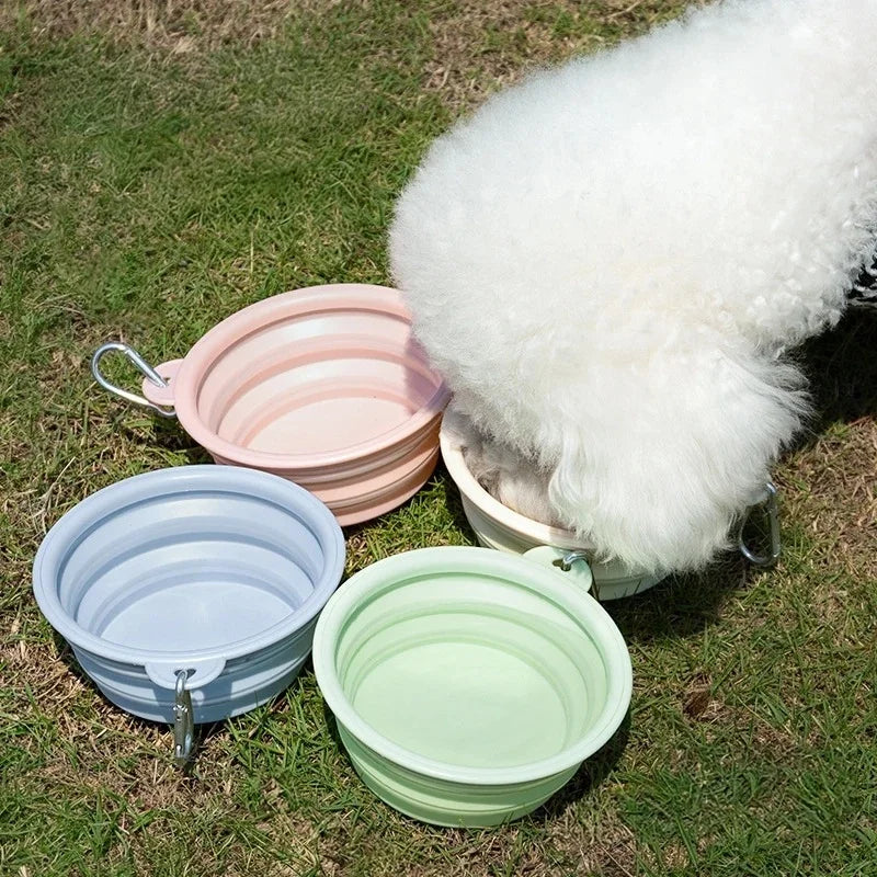 Collapsible Travel Pet Bowl for Dogs & Cats