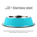 Stainless Steel Pet Feeding Bowl Set